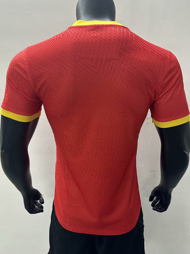 2024 Guinea Home Player Version Soccer Jersey