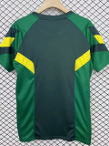 24/25 Celtic Green Special Edition Fans Soccer Jersey