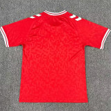 2024 Denmark Home Fans Soccer Jersey