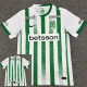 25/26 Atletico Nacional Home Fans Soccer Jersey（国民竞技、哥伦球队）