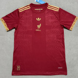 25/26 Mexico Concept Edition Maroon  Fans Soccer Jersey