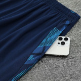 24/25  Ajax Yellow Half Pull Tracksuit  (半拉链)