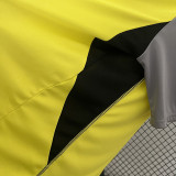24/25 Flamengo Yellow Training shirts（圆领）