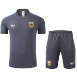 23/24  Argentina Grey Training Short Suit
