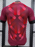 2025 Germany Away Player Version Soccer Jersey带四星