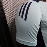 24/25 ARS Sky Blue Pre Match Player Version Training shirts