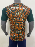 24/25 Cote d'Ivoire Green Training Shirts