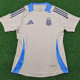 24/25 Argentina khaki  Special Edition  Player Version Soccer Jersey