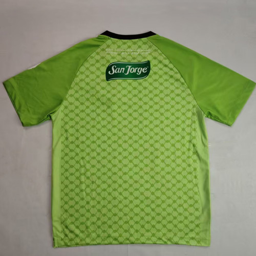 25/26 Palestino Deportivo Green Special Edition Fans Soccer Jersey