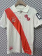 2025  FSV 120th Anniversary Edition Fans Soccer Jersey