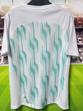 25/26  Palmeiras Green White T-shirt