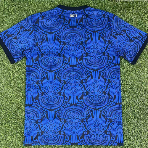 25/26 Bolivia  Blue  Training Shirts