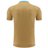 24/25 Argentina Mud Yellow Training Short Suit