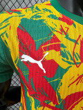 24/25 Senegal Green Puzzle Player Version Training Shirts