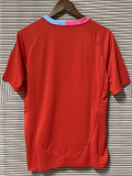 24/25 Inter Miami Red Pink Special Edition Fans Soccer Jersey