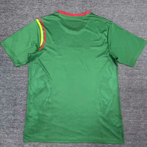 24/25 Cameroon Home Fans Soccer Jersey