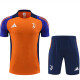 24/25  JUV Orange Training Short Suit