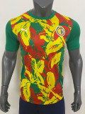24/25 Senegal Green Puzzle Training Shirts