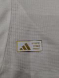 24/25 Aston Villa  Away Player Version Soccer Jersey