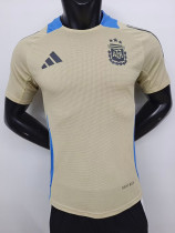 24/25 Argentina khaki Special Edition Player Version Soccer Jersey 24/25 Argentina khaki Special Edition Player Version Soccer Jersey