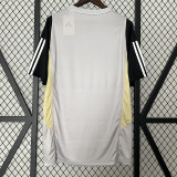 24/25 Atletico Mineiro Grey Training shirts