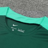 24/25 Portugal Green Training Short Suit