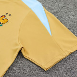 24/25 France Mud Yellow  Training Short Suit