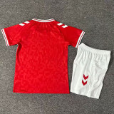 2024 Denmark Home Kids Soccer Jersey