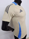24/25 Argentina khaki  Special Edition  Player Version Soccer Jersey