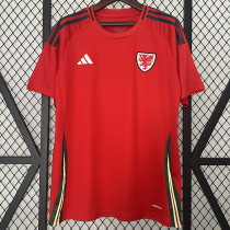 2024 Wales Home Fans Soccer Jersey 2024 Wales Home Fans Soccer Jersey