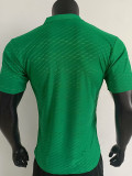 2025 Belgium Green  Player Version  Polo Shirt