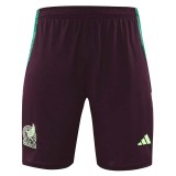 24/25  Mexico maroon Training Shorts Pants