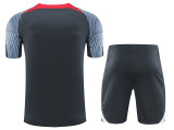 24/25 LIV Dark Grey  Training Short Suit
