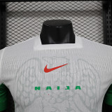 24/25 Nigeria Home Player Version Soccer Jersey