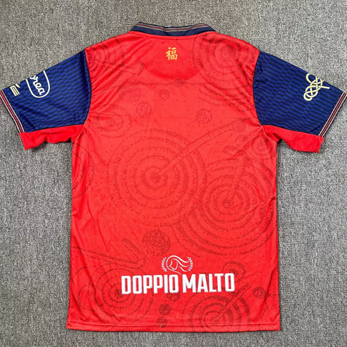 25/26 Cagliari Year of the Snake Commemorative Edition Fans Soccer Jersey