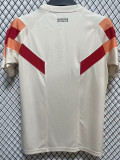 24/25 Lyon Yellow Special Edition Fans Soccer Jersey