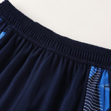 25/26  AD Summer Thin Edition Royal Blue Pants  #AK05