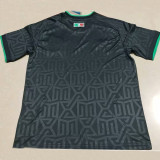 25/26 Mexico Dark Green Training  Shirt