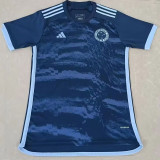 24/25 Cruzeiro Third Fans Soccer Jersey