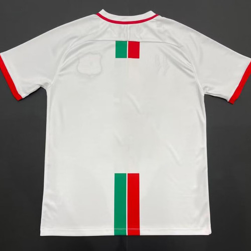 24/25 Palestine White English Special Edition Fans Soccer Jersey(胸前英文）
