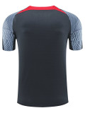 24/25  LIV Dark Grey Training Shirts