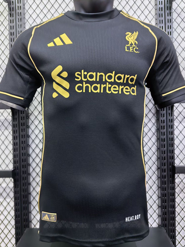 24/25 LIV Grey Special Edition Player Version Soccer Jersey