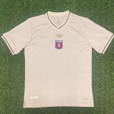 25/26 Lyon Anniversary Edition White  Fans Soccer Jersey
