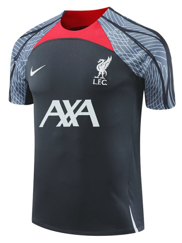 24/25  LIV Dark Grey Training Shirts