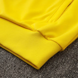 24/25 Brazil  Yellow Jacket Tracksuit