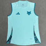 25/26 Cruzeiro Light Green  vest  Training shirts背心