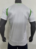 24/25 Algeria Home  Fans Soccer Jersey(无星）