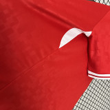 2024 Denmark Home Fans Soccer Jersey
