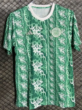 24/25  Celtic Green  Pre matchTraining Short