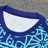 24/25  Brazil  White Blue Wave  Training Short Suit